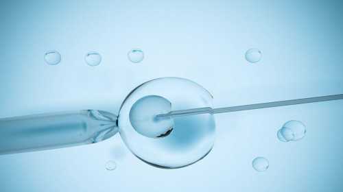 白城供卵中介,泰国试管婴儿精子畸形率高就会生出畸形儿吗-试管移植后总有大