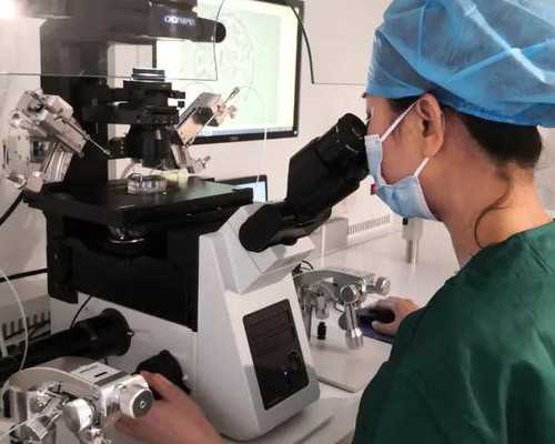 试管婴儿离婚后抚养权归属及助孕技术解析
