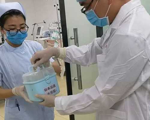 哪家医院试管婴儿成功率高？权威医院推荐与影响因素分析