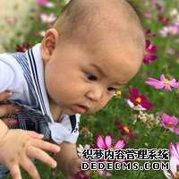 北京代怀有哪个网站_江西做试管婴儿一般多少钱？